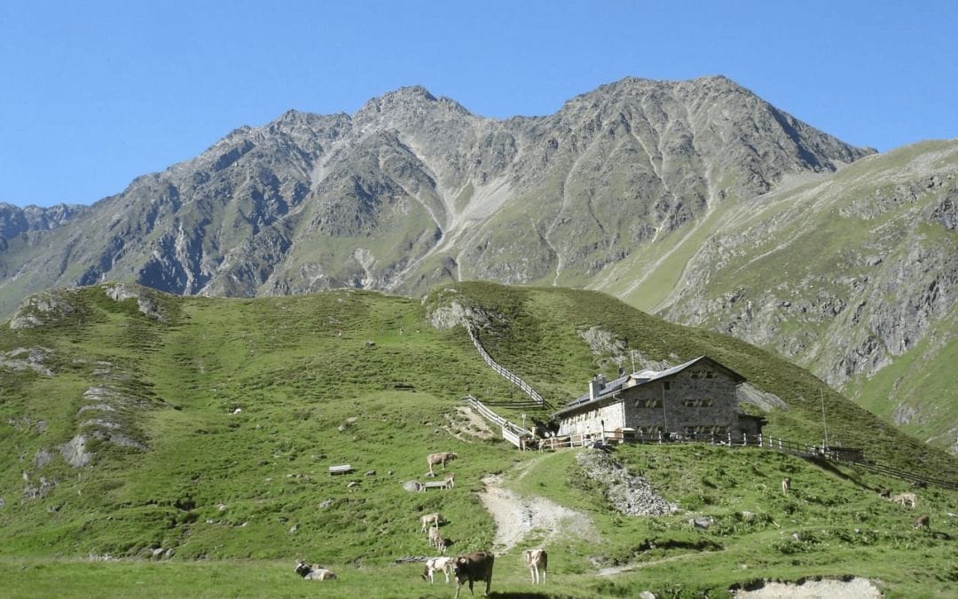 Hiking trail – Gries – Amberger Hütte