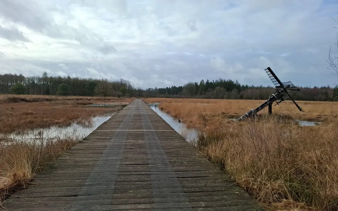 Wandelroute Sprokkelspoor