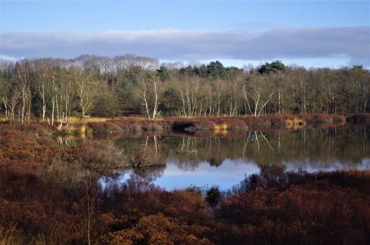 Wandeling Tynaarlo: Wedbroeken en Siepelveen