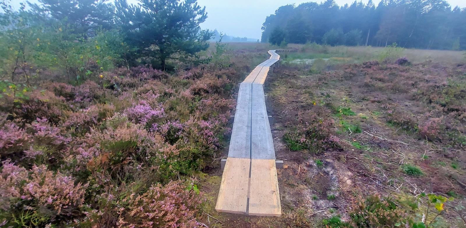 Wandelroute Sprokkelspoor