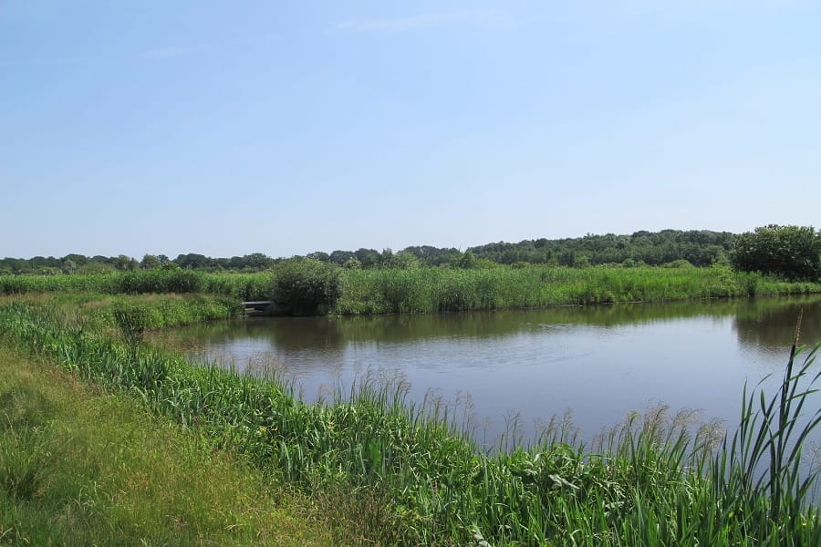 Boswachterspad Holle Beetse Vennekampen